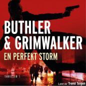 En perfekt storm av Dan Buthler og Leffe Grimwalker (Nedlastbar lydbok)