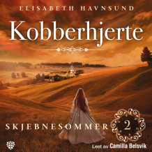 Skjebnesommer av Elisabeth Havnsund (Nedlastbar lydbok)
