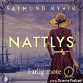 Farlig møte av Salmund Kyvik (Nedlastbar lydbok)