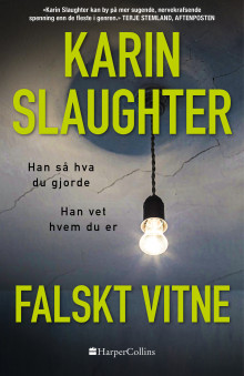 Falskt vitne av Karin Slaughter (Nedlastbar lydbok)