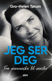 Jeg ser deg av Gro-Helen Tørum (Ebok)