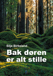 Bak døren er alt stille av Silje Birkeland (Ebok)