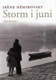 Storm i juni av Irène Némirovsky (Innbundet)