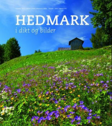 Hedmark i dikt og bilder av Knut Imerslund (Innbundet)