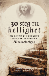 30 steg til hellighet av Vassilios Papavassiliou (Heftet)