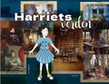 Harriets verden av Liv Snarud (Innbundet)