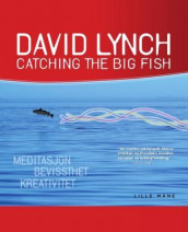 Catching the big fish av David Lynch (Ebok)
