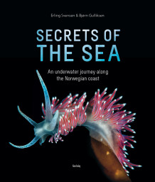 Secrets of the sea av Erling Svensen og Bjørn Gulliksen (Innbundet)