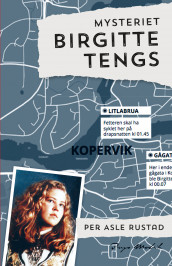 Mysteriet Birgitte Tengs av Per Asle Rustad (Heftet)