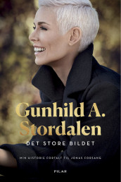 Det store bildet av Gunhild A. Stordalen (Innbundet)