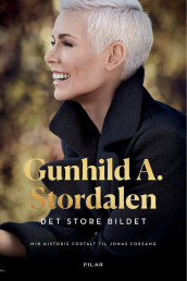 Det store bildet av Gunhild A. Stordalen (Ebok)