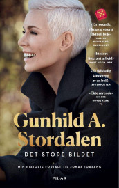Det store bildet av Jonas Forsang og Gunhild A. Stordalen (Heftet)