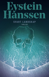 Svart landskap av Eystein Hanssen (Innbundet)