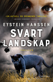 Svart landskap av Eystein Hanssen (Ebok)