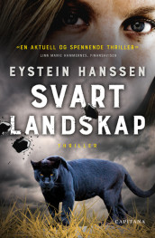 Svart landskap av Eystein Hanssen (Heftet)
