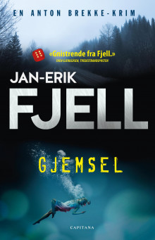 Gjemsel av Jan-Erik Fjell (Ebok)