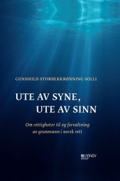 Ute av syne, ute av sinn av Gunnhild Storbekkrønning Solli (Innbundet)