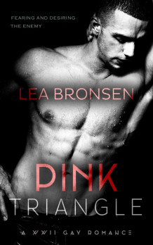 Pink triangle av Lea Bronsen (Ebok)