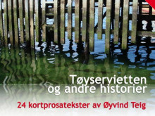 Tøyservietten og andre historier av Øyvind Teig (Ebok)