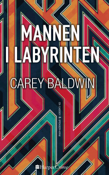 Mannen i labyrinten av Carey Baldwin (Ebok)