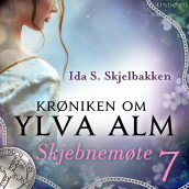 Skjebnemøte av Ida S. Skjelbakken (Nedlastbar lydbok)