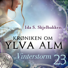 Vinterstorm av Ida S. Skjelbakken (Nedlastbar lydbok)