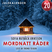 Mordnatt råder - luke 20 av Sofia Rutbäck Eriksson (Nedlastbar lydbok)