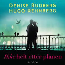 Ikke helt etter planen av Denise Rudberg og Hugo Rehnberg (Nedlastbar lydbok)