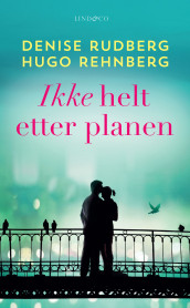 Ikke helt etter planen av Hugo Rehnberg og Denise Rudberg (Ebok)